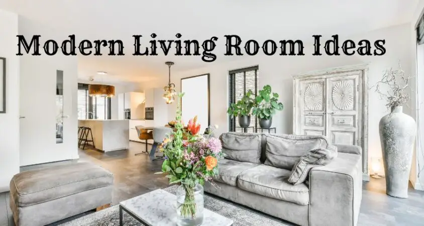 Modern living room ideas
