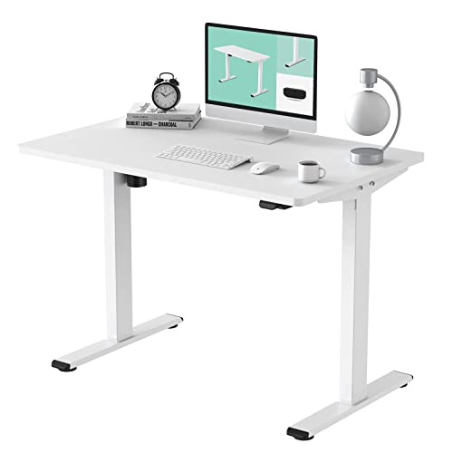 FLEXISPOT Electric Standing Desk Whole Piece 48 x 30 Inch