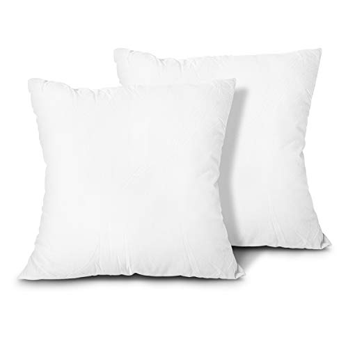 EDOW Throw Pillow Inserts, Set of 2 Lightweight Down Alternative