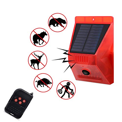 Solar Strobe Light with Motion Detector 