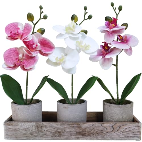 Winlyn Set of 3 Small Artificial Orchid Potted Plants Arrangement