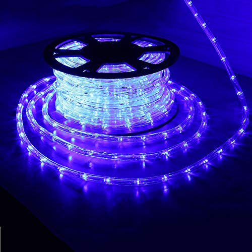 HuiZhen 100 Feet 720 LED Rope Lights,2-Wire Low Voltage Waterproof