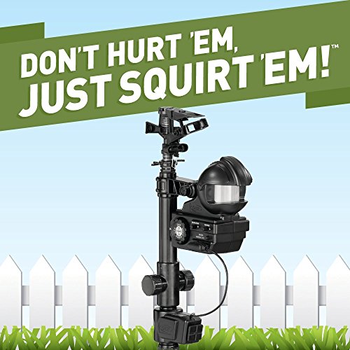 Yard Enforcer Motion-Activated Sprinkler with Day & Night Detection Modes,Black