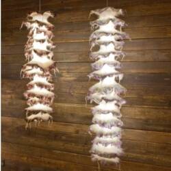 Apaya Collection: Designer Ayala Serfaty Goes Organic