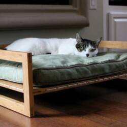 Bambu Hammock and Bambu Lounger Show Your Pets How Much You Love Them