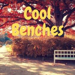 Cool Benches For Your Next Project 2021