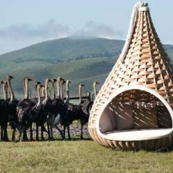 Enjoying Nature in Comfort: Nestrest by Dedon