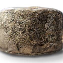 Hey by Fabio del Percio Transparent Upholstery