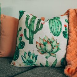 how-custom-throw-pillows-can-easily-revamp-your-home
