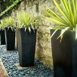 planters exterior home