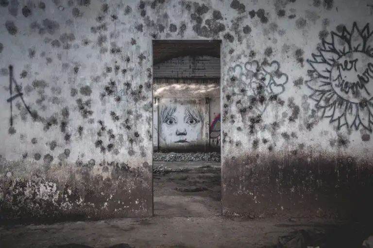 Easy Ways To Prevent Mold Growing (Explained)